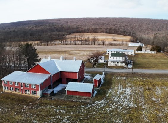 Public Real Estate Auction 69.8+/- Ac Farm Perry County