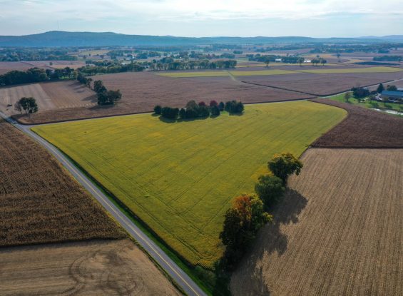 Public Real Estate Auction 52+/- Acres Mount Joy Farm