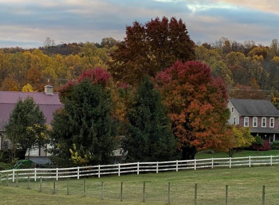Public Real Estate Auction +/-30 Ac. Farm Berks County