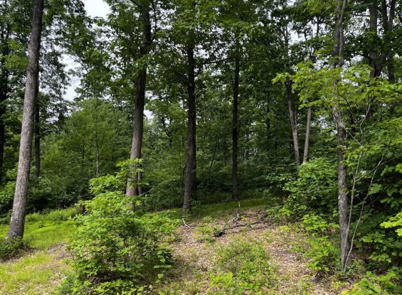 Public Real Estate Auction 235+/- Acres Centre Co.