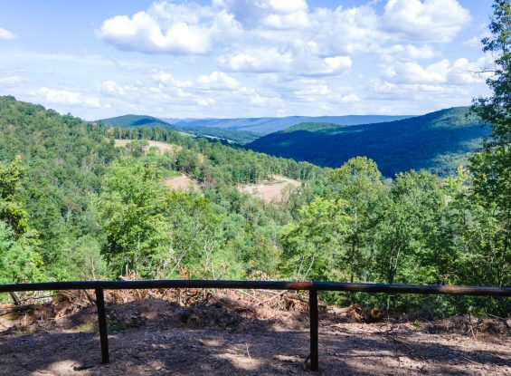 Public Real Estate Auction 183.4 Acres Centre County