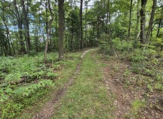 Public Real Estate Auction 60.82 Acres Dauphin Co.