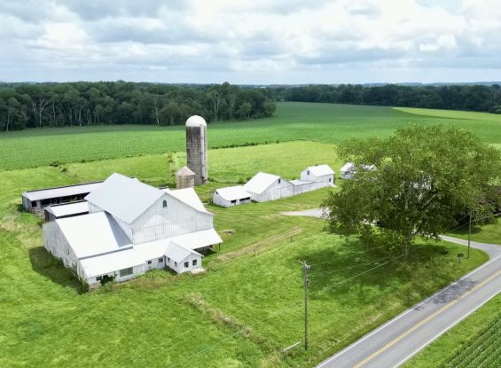Public Real Estate Auction 103.3 Acre Farm 3 Parcels North East, Maryland