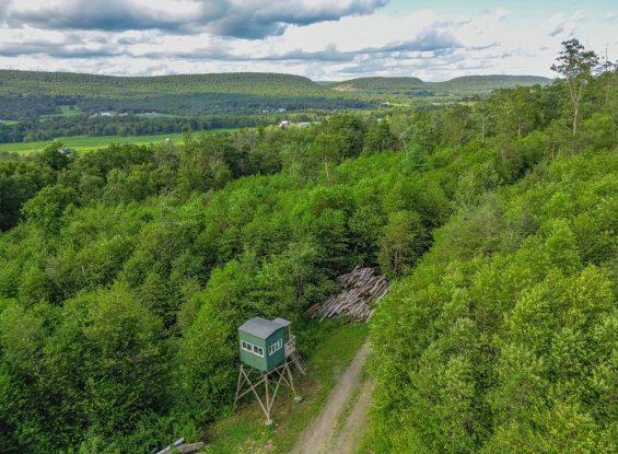 Public Real Estate Auction 75.59+/- Acres Clinton County