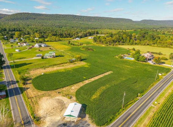 Public Real Estate Auction 12+/- Acres Snyder Co.